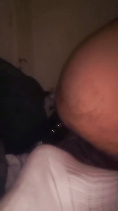 Ass fuck dildo