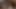 Shemale Slut Video naughty selfiefuck
