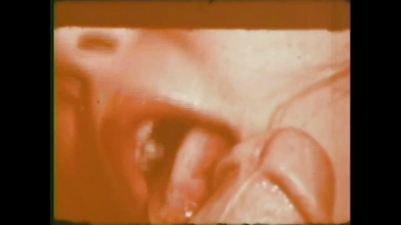 "Originea noastră xxx ... - vol. 14