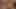 Cinnamon Baileyy- Vegas Mayhem EXTREME - VegasCastingCouch