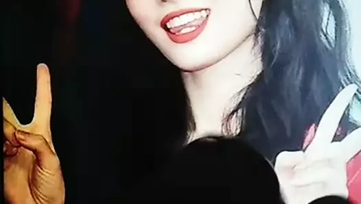 momo cumtribute 5
