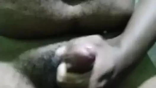 hint sütlü twinks 2021
