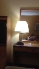Blonde hotel
