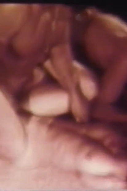 Casă poftioasă și fierbă (Partea 2)