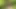 POV Man Blowjob Then Fuck in the Middle of the Forest Without Protection to Finish She Swallows All the Sperm!