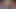 Ksu Colt and Masha Yang HAVE SHAKING SQUIRTING ORGASM during live stream