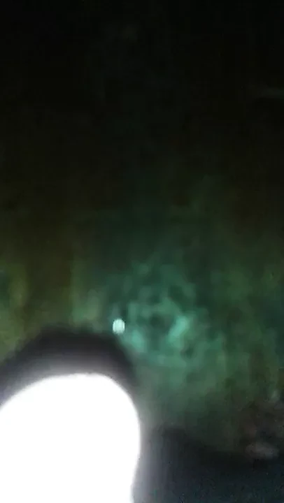 Jerk off and cum
