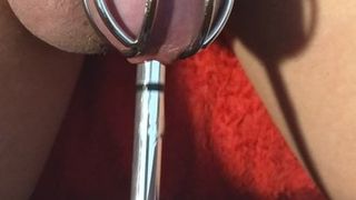 sissy sounds herself in a shiny metal cock cage