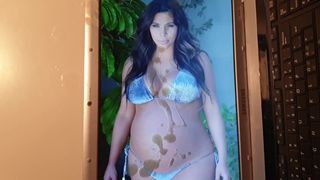 Kim Kardashian, Sperma-Tribut 15