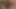 Porno inek: codi: sikiş 2