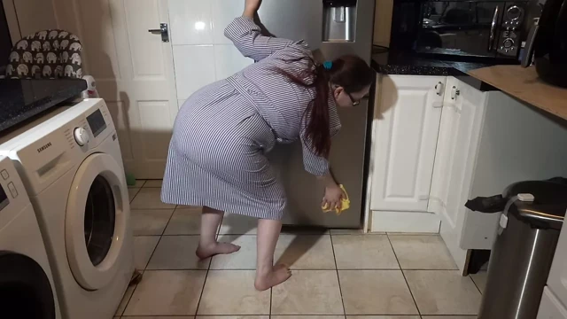 Maid Cleaning Day