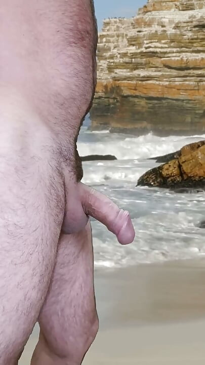 Beach Cock