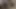 lick