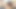 Blonde trans bombshell loves cock inside her