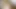 türk boynuzlamak