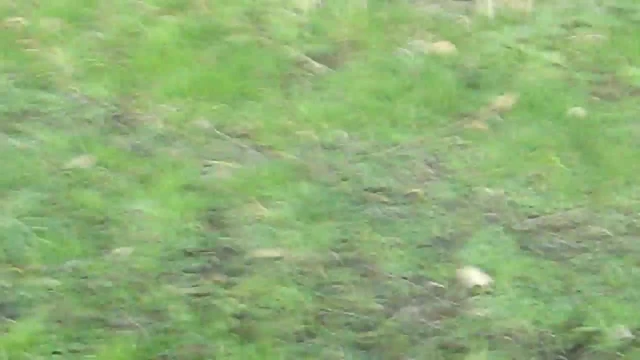 running completely naked right next to busy road