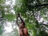 Pratinjau video