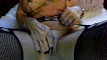 Pregled videozapisa