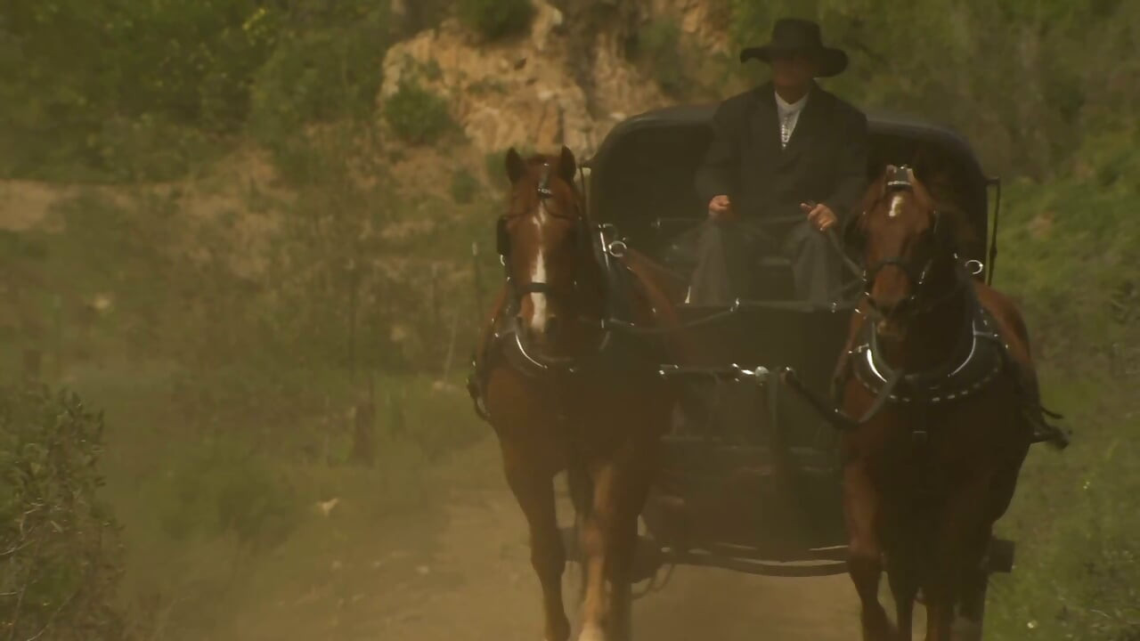 Carriage Sex in the Wild West - Curly Brunette in a Corset Rides Cock