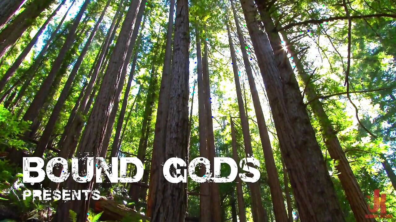 Deep Woods Domination Chapter 1