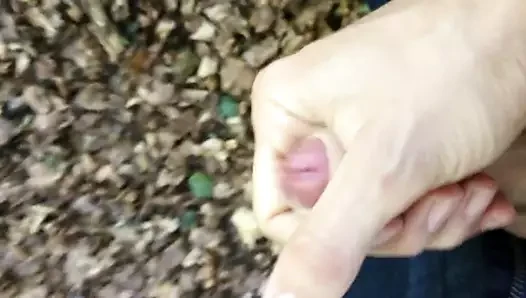 ormanda cumming