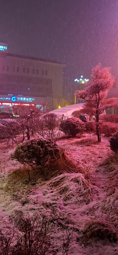 Büyüleyici gülümseme