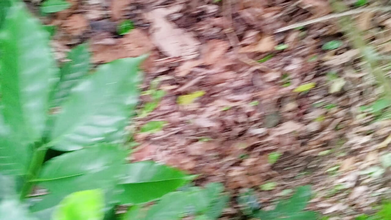 Male Pregnant Passive Swallower