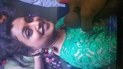 Telugu actress Roja hot cum tribute