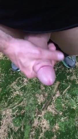 Out in the wood