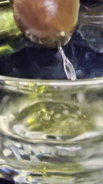Golden Goddess Nectar 4