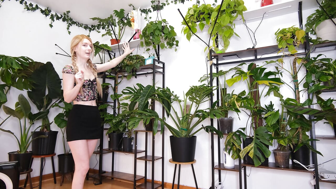 Moving My Plants Indoors