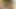 Three trannies with big asses each get a blowjob from their
