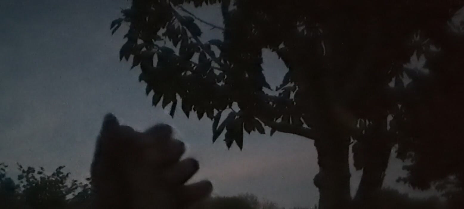 Handjob in the garden after dark