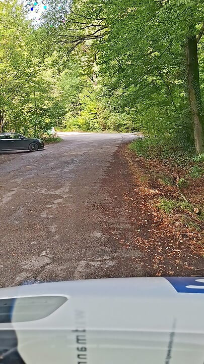 Šumsko parkiralište