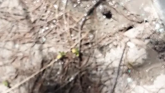 ve açık havada saman