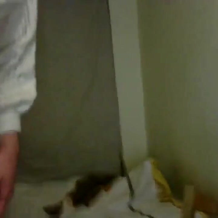 tame show thumb