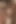 Bikinili kızlar bikinili sahne 4_brunette genç kız siyah yarakla sert sikişiyor