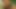 ワイルドファンタジー7