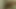 ルームメイトの話を聞きながら自慰行為をしました