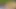 WoW! Cool summer time in garden. Masturbate and orgasm horny pussy under panties. outdoor orgasm. Rubbing clit and