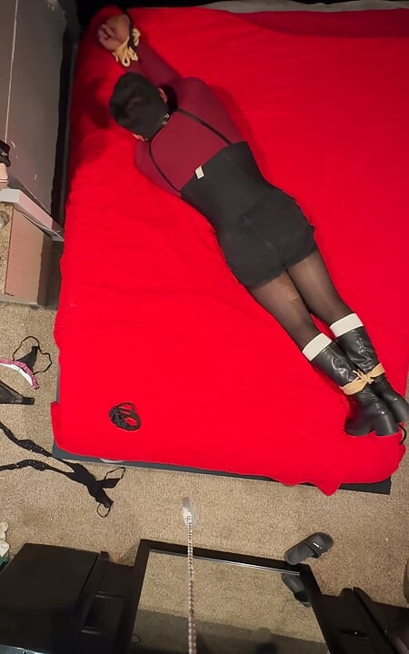 Ada Wong bound to bed