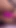 Porno yıldızı seksi Nina Rivera ile sevgililer günü için göt deliği ve amcık oyunu