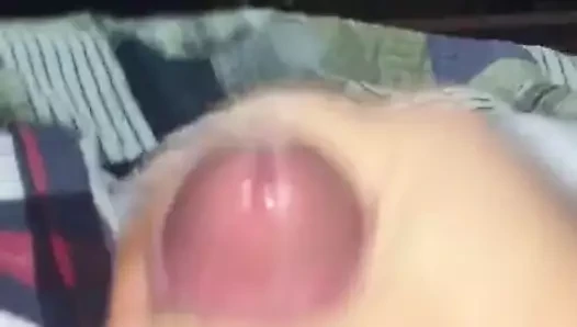 cumming sert