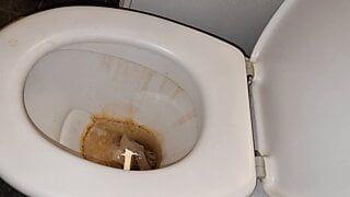 Reinigung der bösen Toilette in Gummi