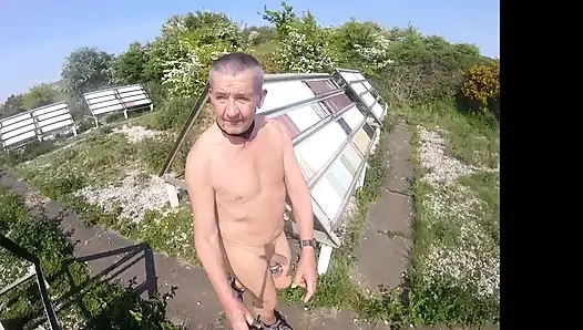Naked Walks