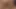 my wife's friend went to spend a few days at home! Let me eat your ass in secret