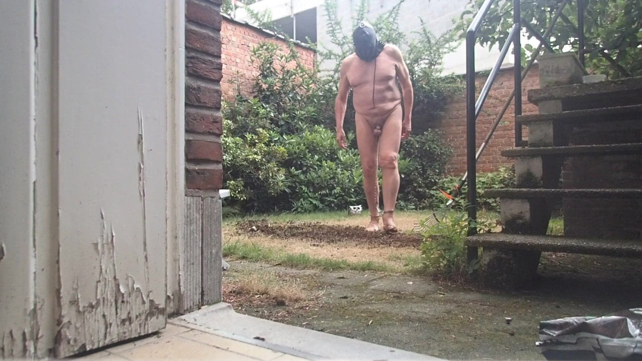 Gardenpig
