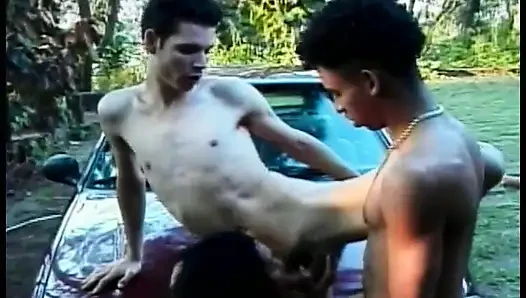 Hot Brazilian cutie Sandra proposed her friends to wash their car and to have some bisexual fun grass lawn