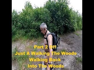 Partie 2 promenade dans les bois