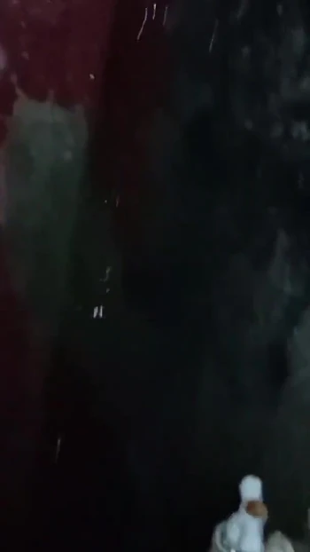 Key moment from "Viral video of beautiful girl Bathroom"